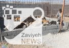 فعالیت شبانه روزی در راستای ساماندهی سگ های ولگرد